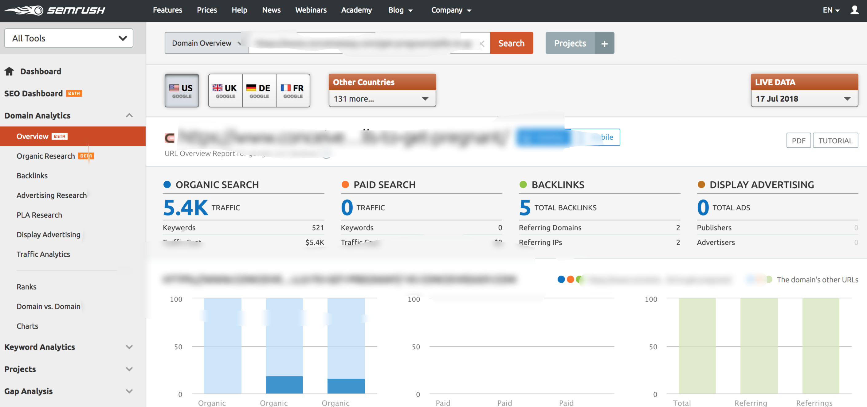 SEMrush Example